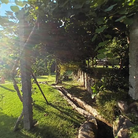 Quinta Da Chanca Paredes de Coura Dış mekan fotoğraf