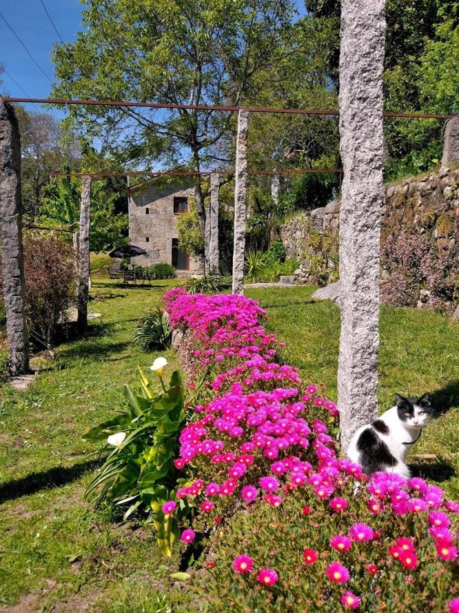 Quinta Da Chanca Paredes de Coura Dış mekan fotoğraf