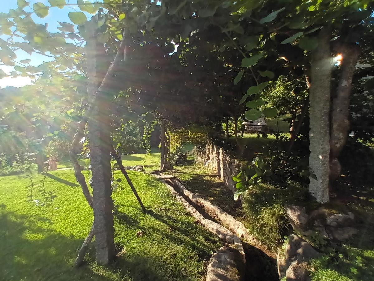 Quinta Da Chanca Paredes de Coura Dış mekan fotoğraf
