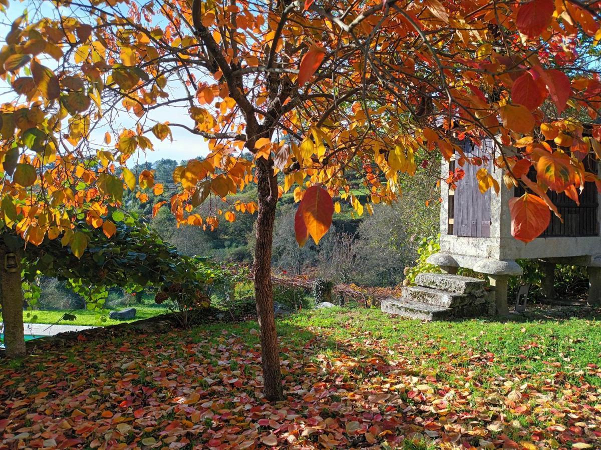 Quinta Da Chanca Paredes de Coura Dış mekan fotoğraf