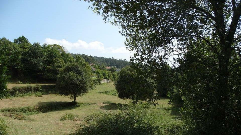 Quinta Da Chanca Paredes de Coura Dış mekan fotoğraf
